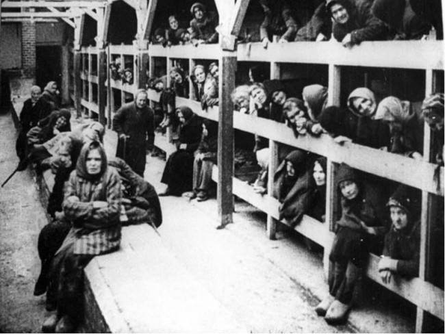 Нары в концлагере Освенцим