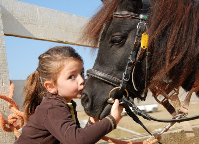 Девочка целует лошадь