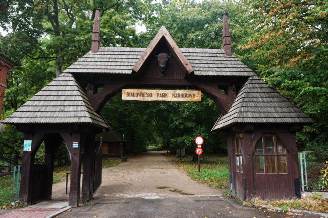 Ворота в Беловежский национальный парк