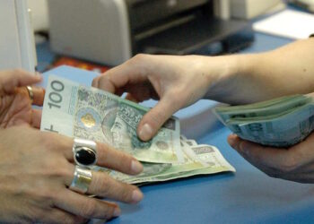 Как оформить стипендию в Польше - StudentPortal