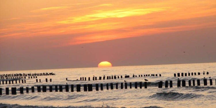 Курорт Дзвижино (Dzwirzyno) в Польше - StudentPortal