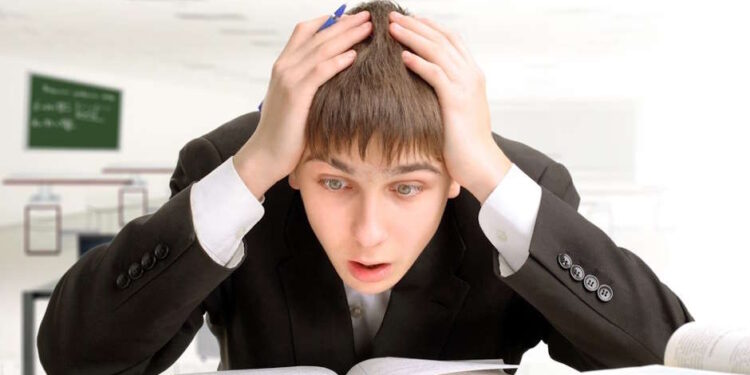 Польша расширяет сертификацию знания польского языка что нужно обо этом знать - StudentPortal