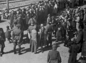 Прибуття євреїв до Освенцима - StudentPortal