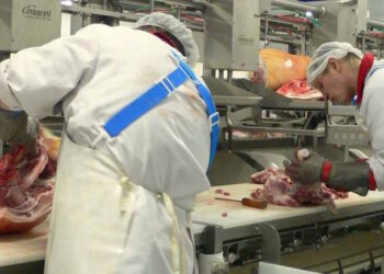 Временная работа в Польше для студентов и иностранцев - StudentPortal