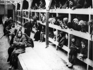 В'язниці Освенцима - StudentPortal