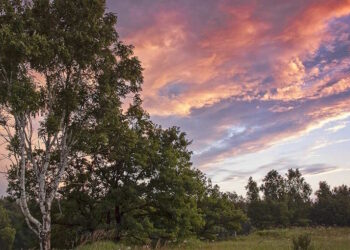 Підляське воєводство - StudentPortal