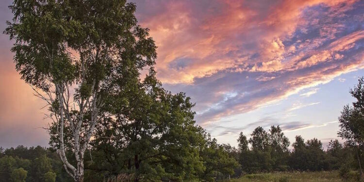 Підляське воєводство - StudentPortal