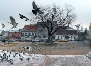 Старий ринок - StudentPortal