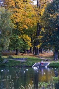 Міський парк - StudentPortal