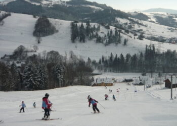 Північна Здруй (Piwniczna-Zdrój) - StudentPortal