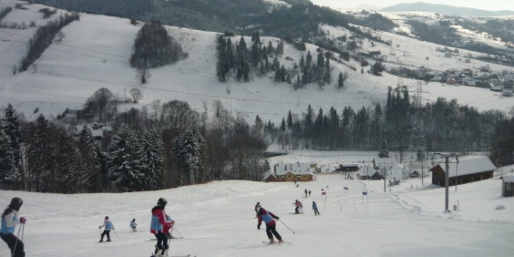 Північна Здруй (Piwniczna-Zdrój) - StudentPortal