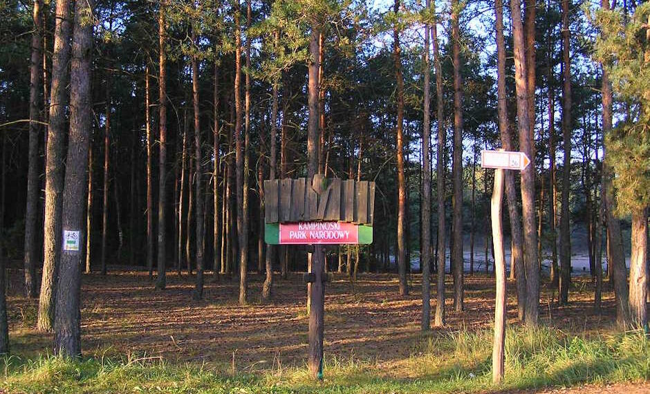 Дерев'яний інформаційний стенд із написом «Kampinoski Park Narodowy» на фоні високого соснового лісу та вказівника маршруту — StudentPortal