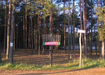 Деревянный информационный стенд с надписью «Kampinoski Park Narodowy» на фоне высокого соснового леса и указателя маршрута - StudentPortal