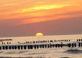 Курорт Дзвіжино (Dzwirzyno) у Польщі - StudentPortal