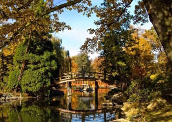 Сілезьке воєводство Польщі - StudentPortal