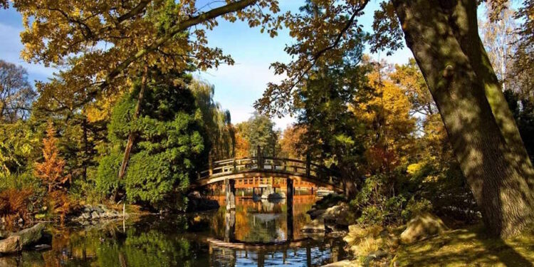 Сілезьке воєводство Польщі - StudentPortal