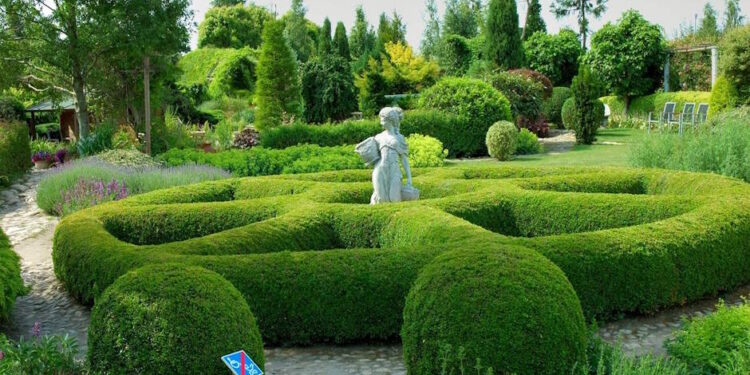 Тематичні сади Хортулюс - StudentPortal