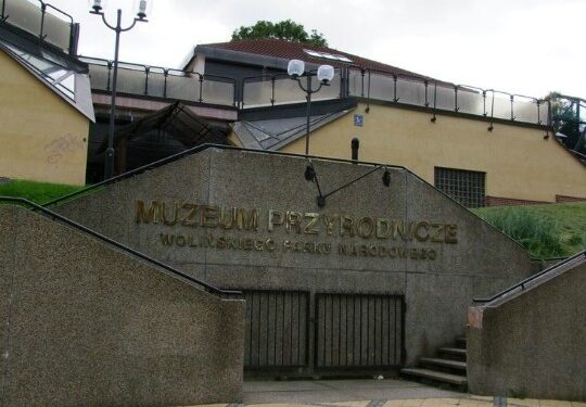 Головний вхід до Природничого музею Волинського національного парку з великим золотистим написом на бетонній стіні - StudentPortal
